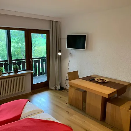 Stuub Jostal Apartment Titisee-Neustadt Exterior photo