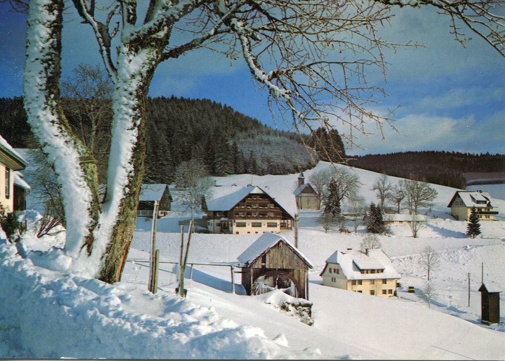 Tannzapfenland *